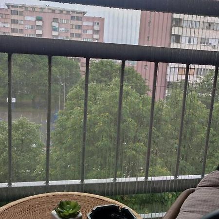 Iva Lux Apartman ซาเยชาร์ ภายนอก รูปภาพ