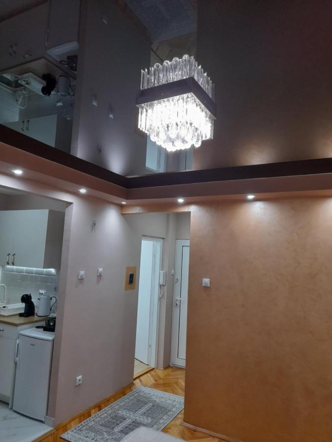 Iva Lux Apartman ซาเยชาร์ ภายนอก รูปภาพ
